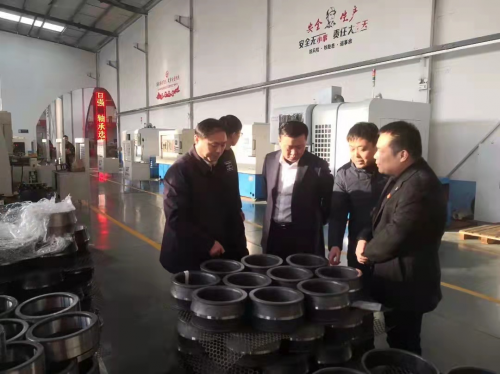 全(quan)力壯大發(fa)展新動能(neng) 打造科技(ji)創新軸承(cheng)産業鍊