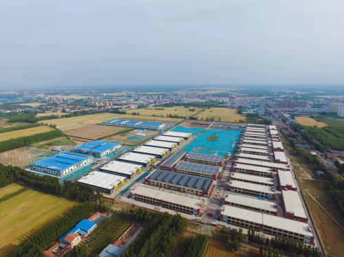 全(quan)力壯大發(fa)展新動能(neng) 打造科技(ji)創新軸承(cheng)産業鍊